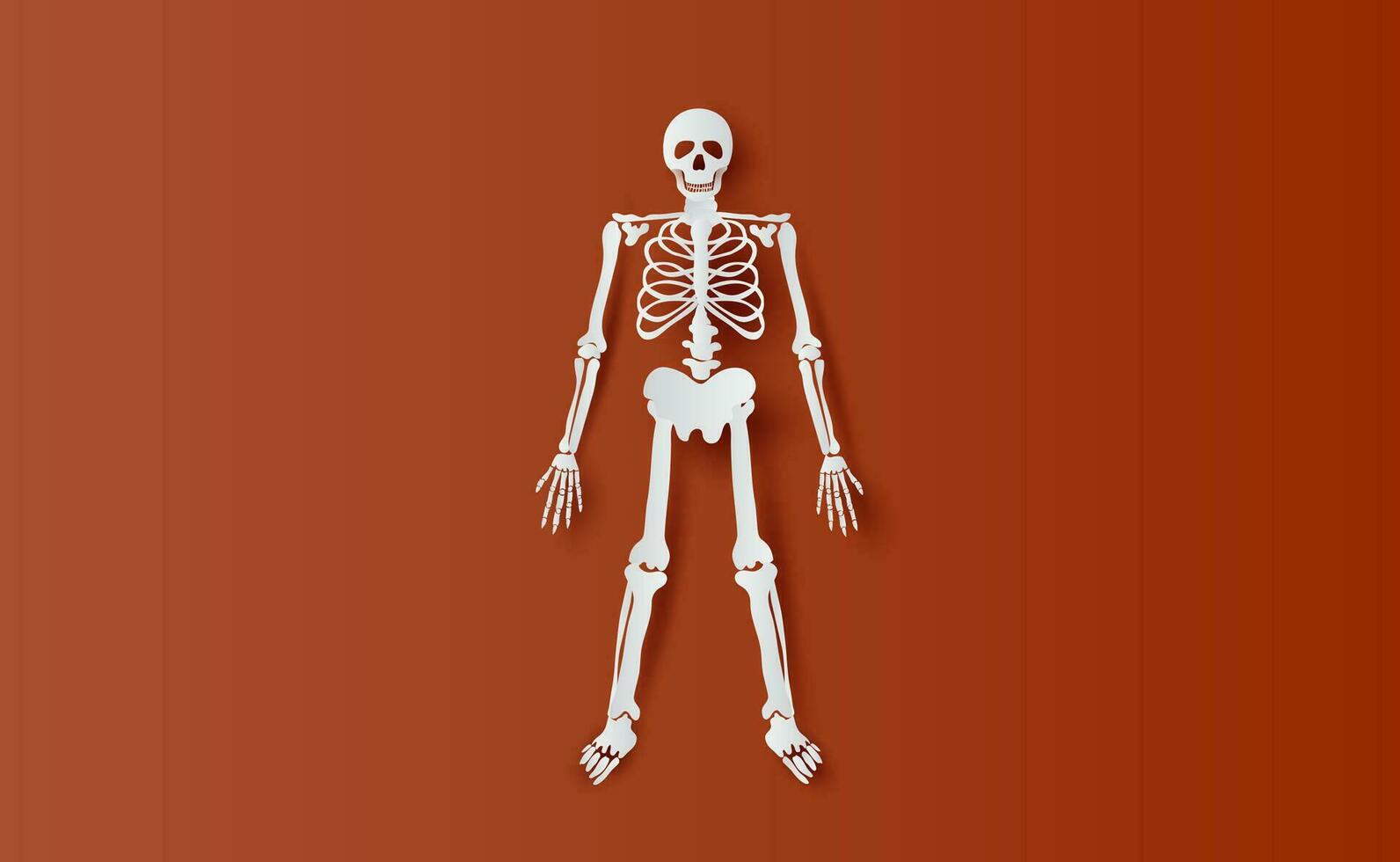 dia das Bruxas personagens do esqueleto simples osso.icon em Castanho isolar plano de fundo.criativo papel cortar e construir mínimo cena Lugar, colocar para seu texto.biologia corpo humano anatomia Projeto vetor ilustração eps10