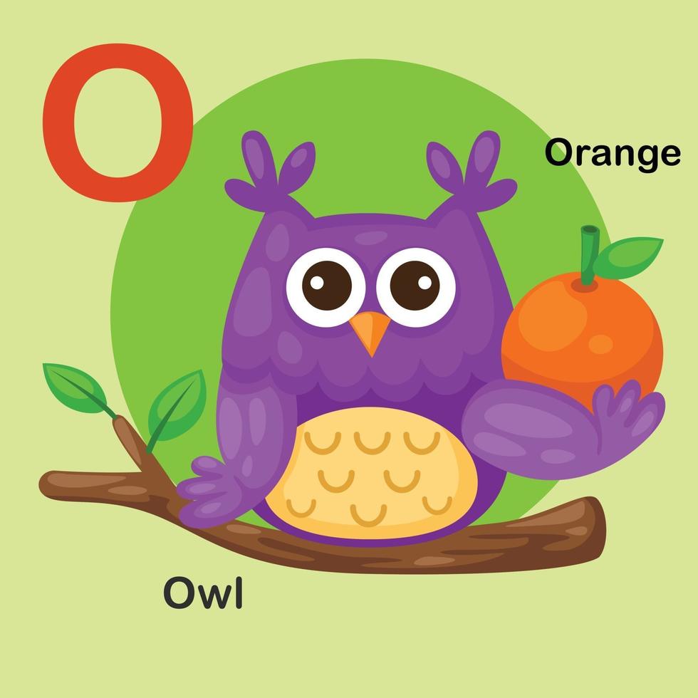 ilustração isolado animal alfabeto letra o-owl, laranja vetor