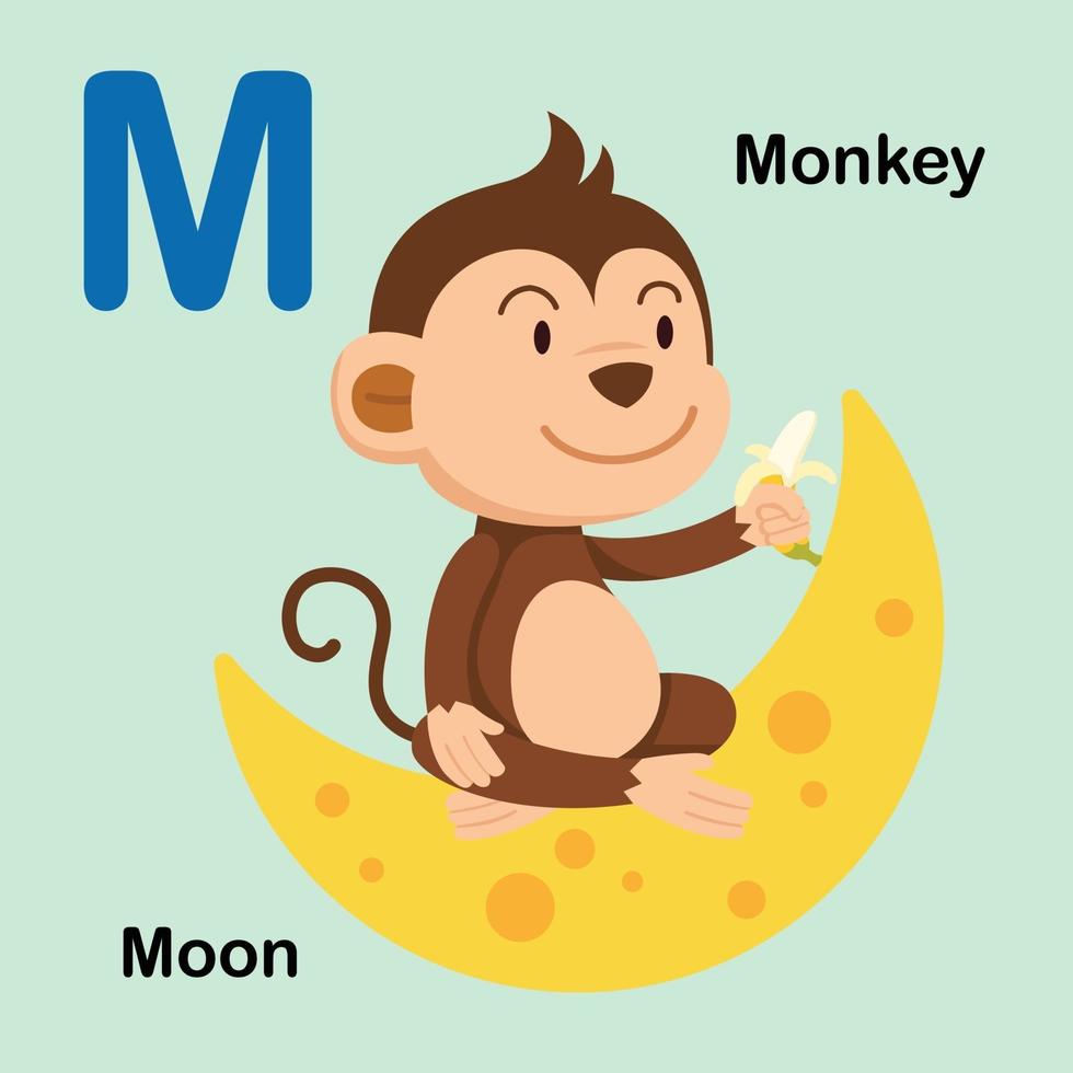 ilustração isolada letra do alfabeto m-lua, macaco vetor
