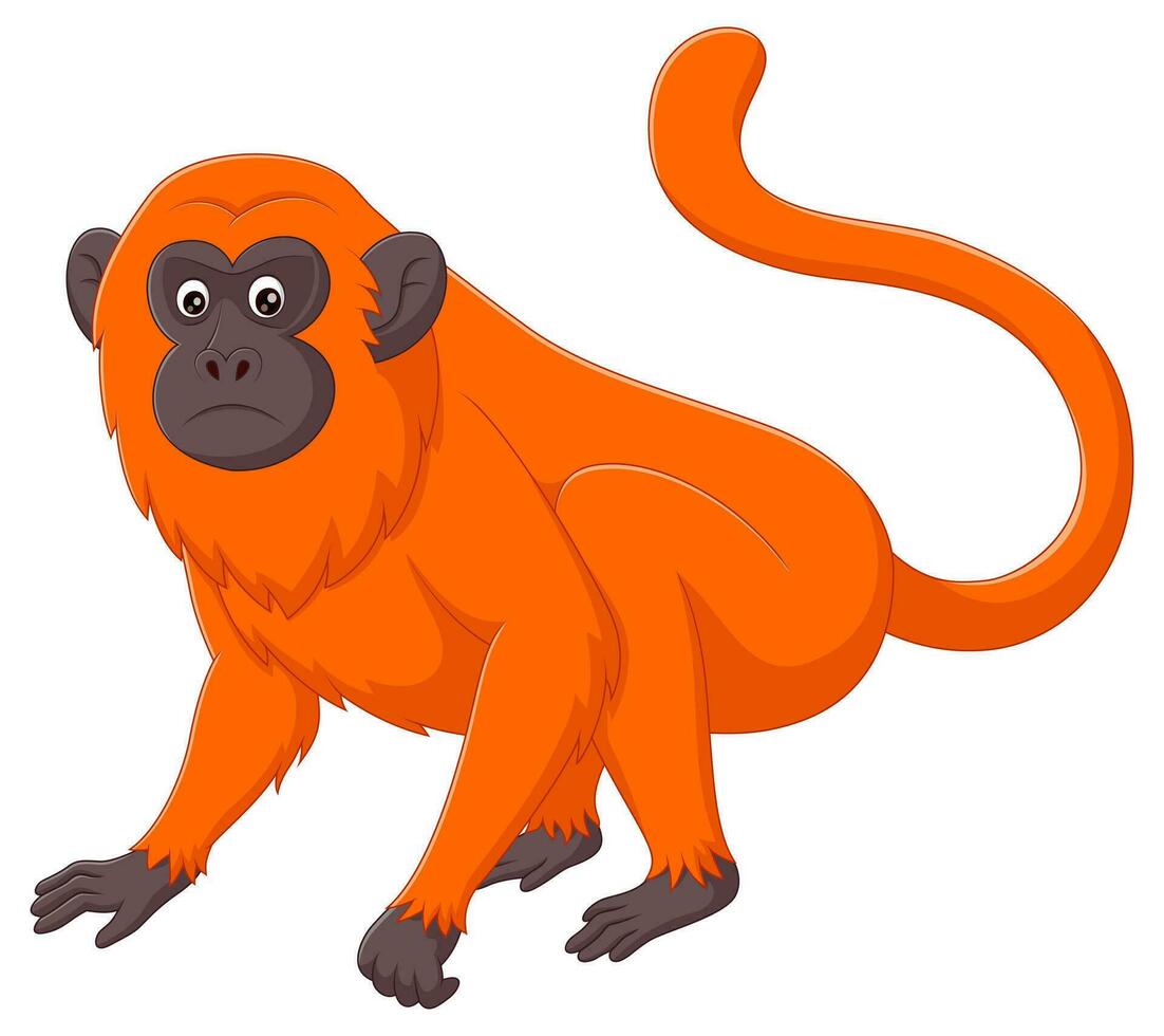 fofa vermelho uivador macaco desenho animado isolado em branco fundo. vetor ilustração