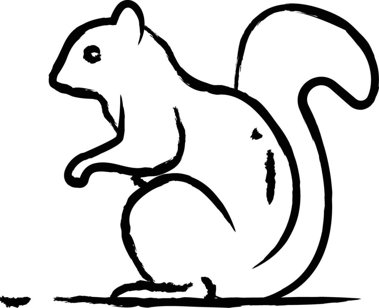 esquilo mão desenhado vetor ilustração
