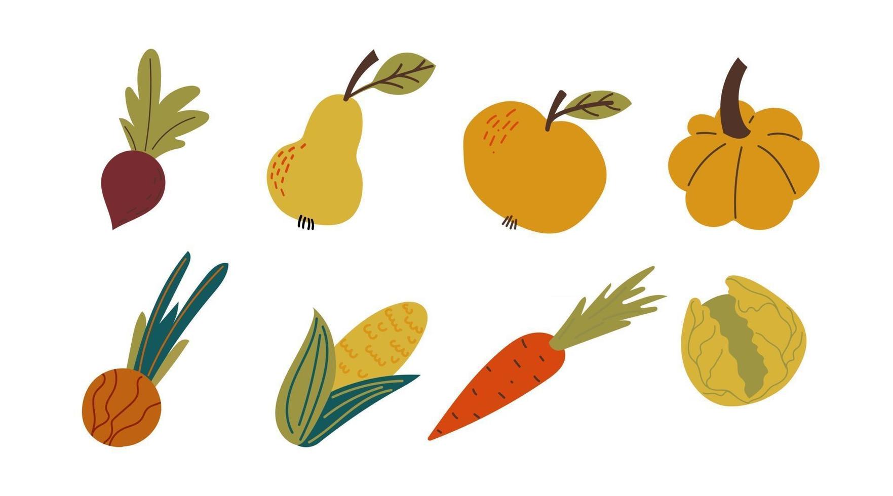 colheita de outono. ilustração vetorial de frutas e vegetais locais vetor