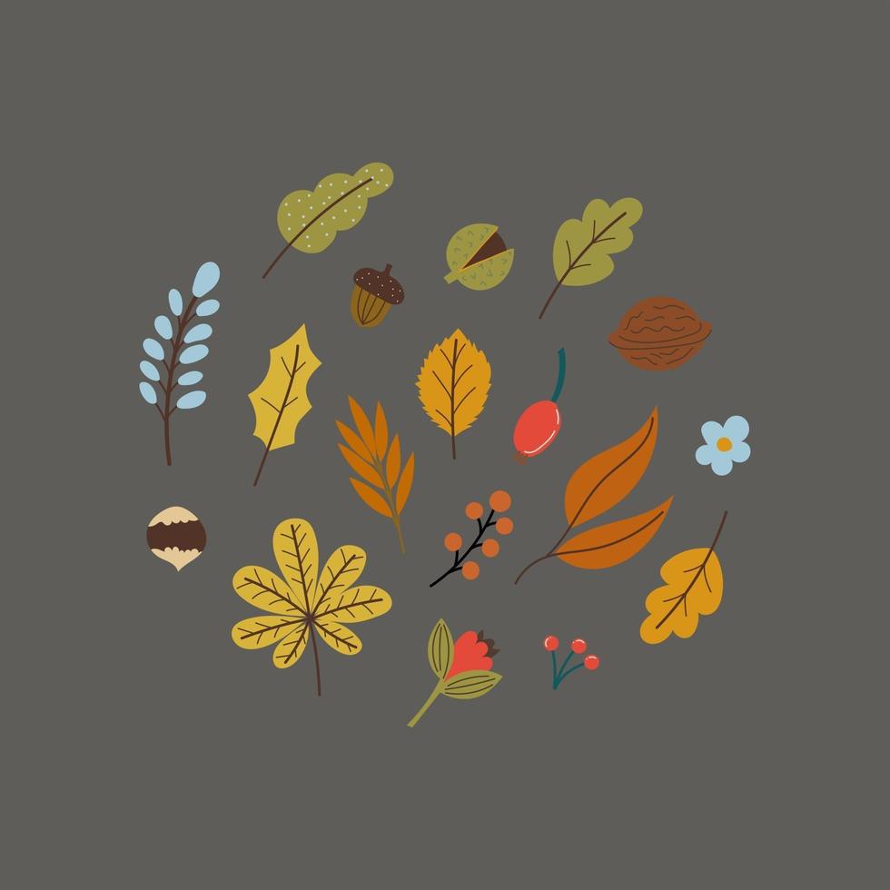 folhas de outono e nozes em estilo simples. vetor