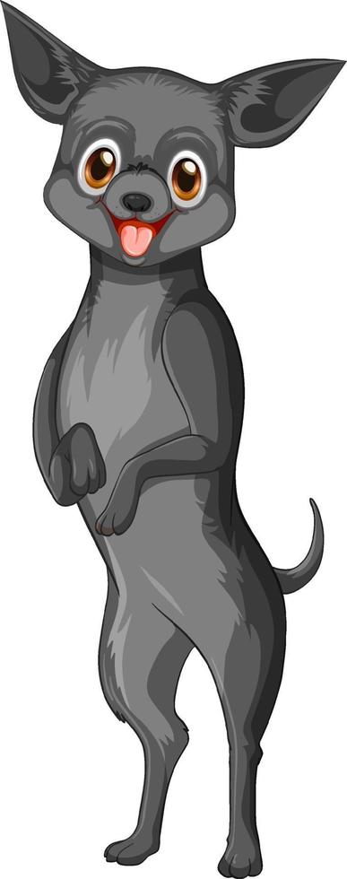 desenho animado de cachorro chihuahua preto em fundo branco vetor