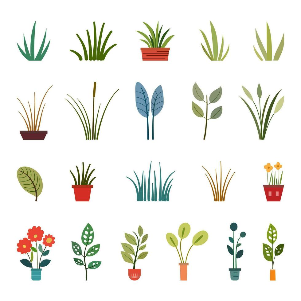 coleção do temporadas vetor grama, folha e flor natural, orgânico, bio e eco isolado ilustração