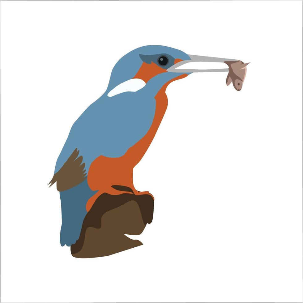 projeto de clip-art colorido kingfisher vetor