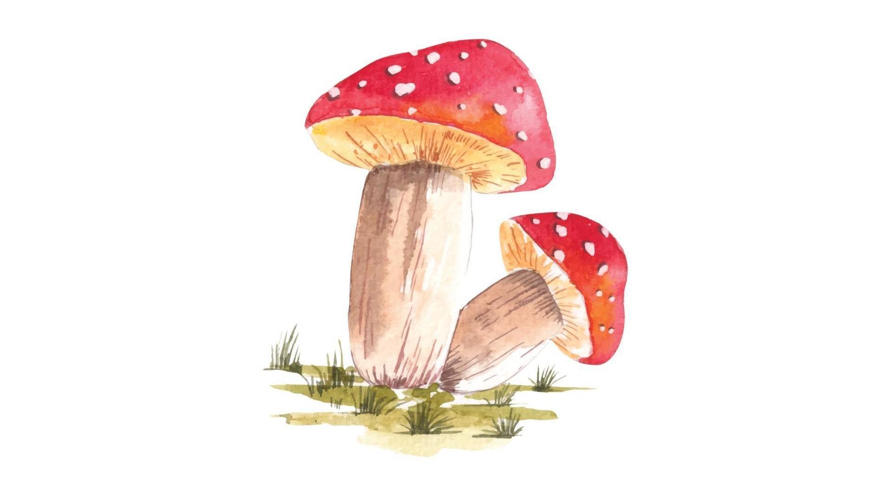 ilustração em aquarela de cogumelos vermelhos vetor