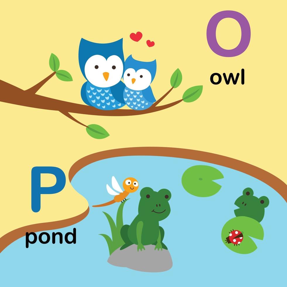letra do alfabeto o-owl, p-pond, ilustração vetor