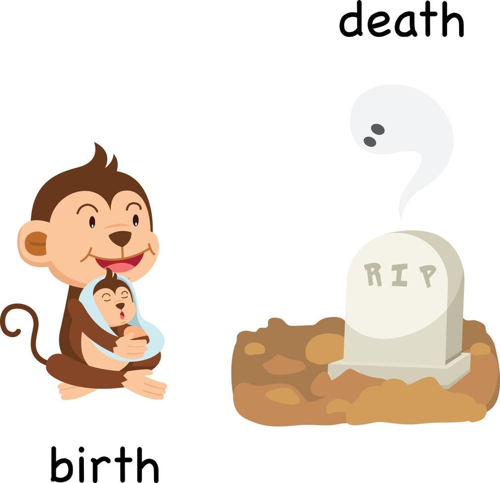 ilustração oposta de nascimento e morte vetor