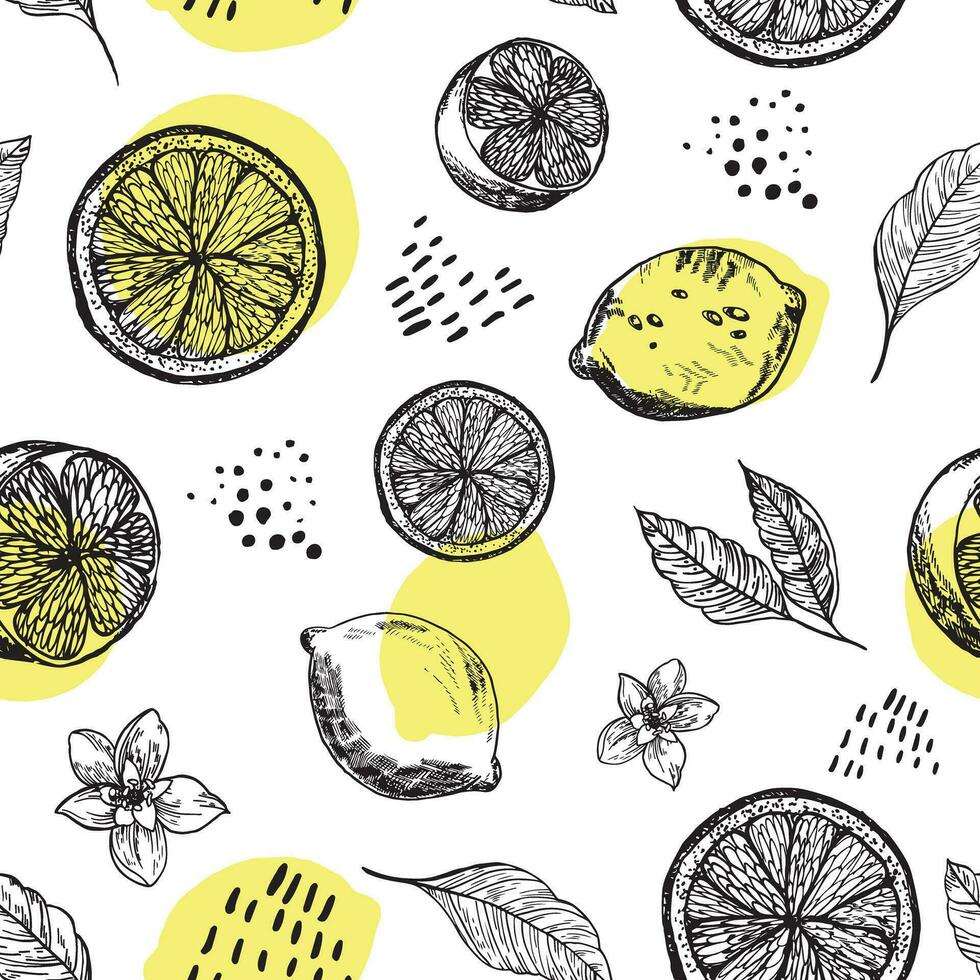 gráfico padronizar com limões, limão fatias com flores desatado padronizar com verão limões, desenhado à mão dentro tinta. amarelo limões desatado fundo vetor