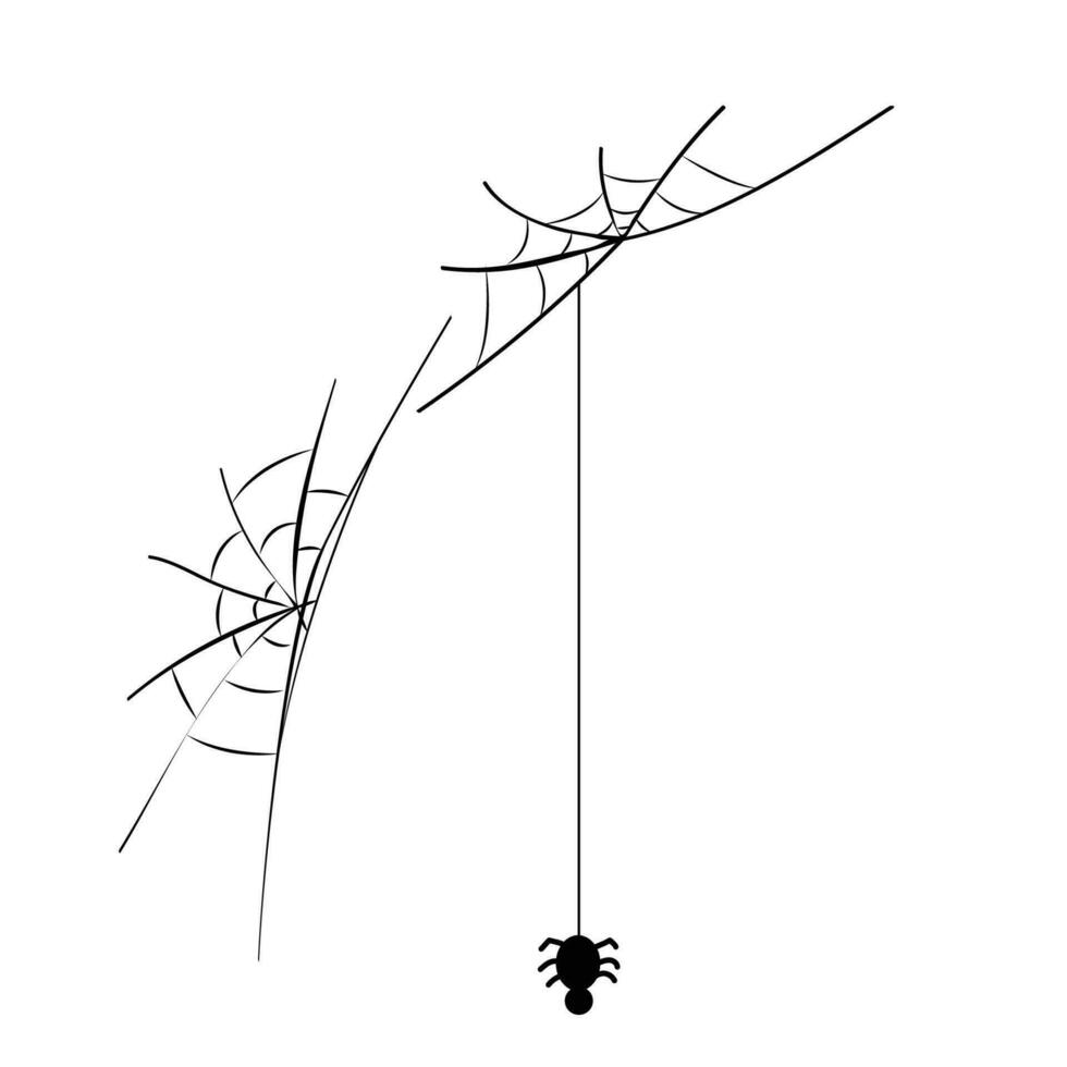 vetor aranha rede papel de parede em branco fundo