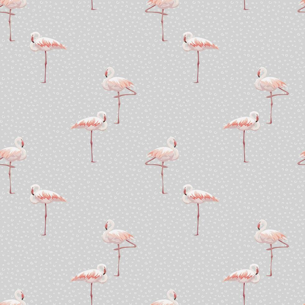 Rosa flamingo desatado padronizar vetor