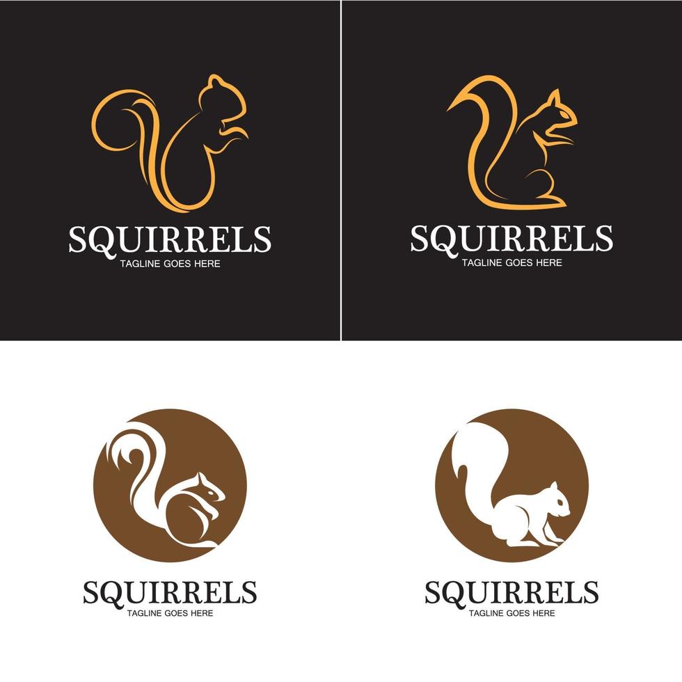 esquilo criativo logotipo animal design ícone símbolo ilustração-vetor vetor