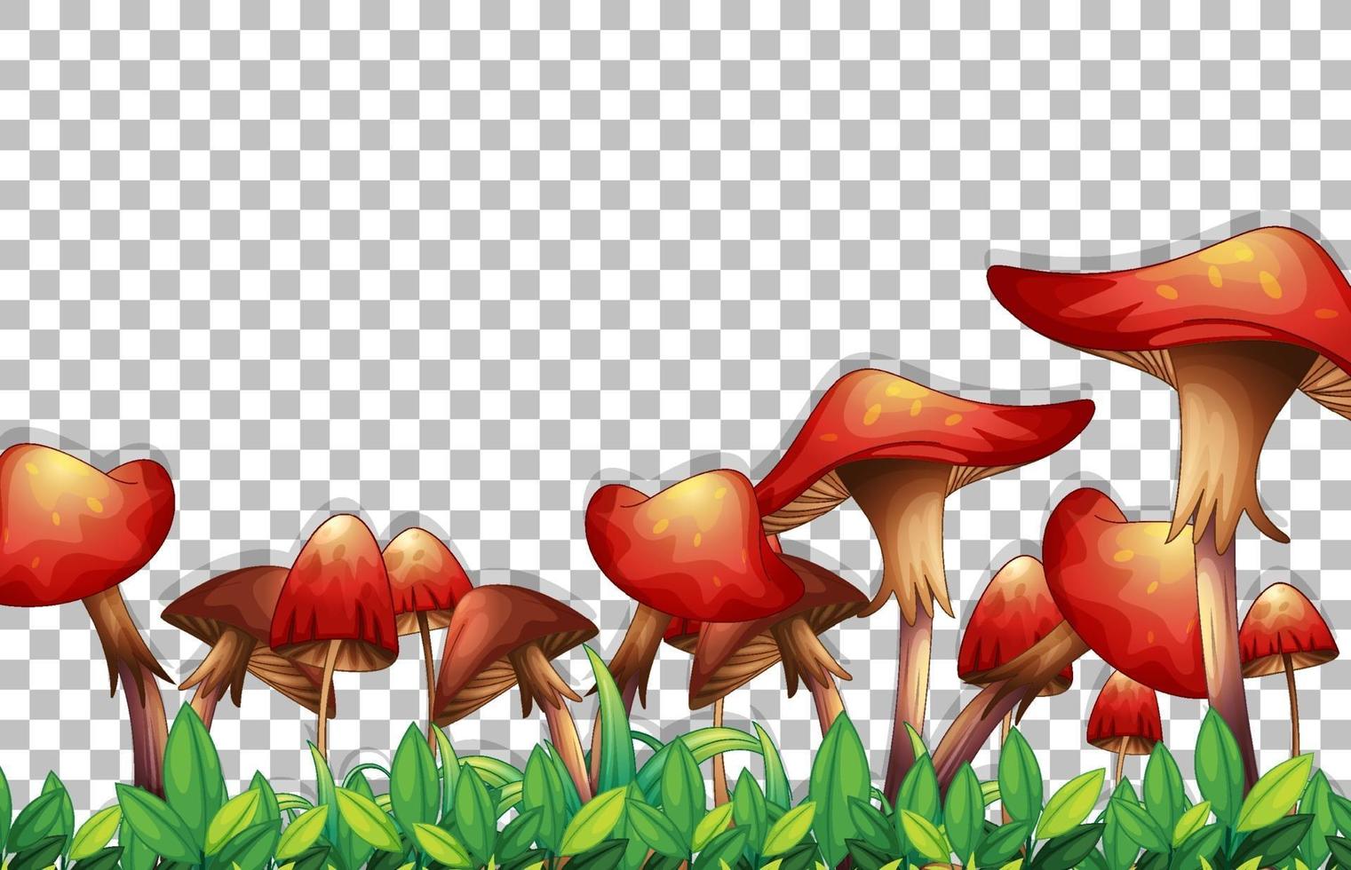 cogumelos e folhas isoladas vetor
