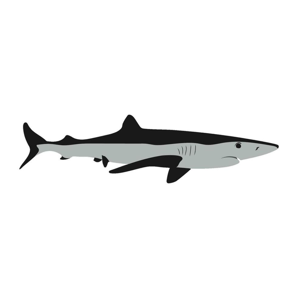 vetor de ícone de tubarão
