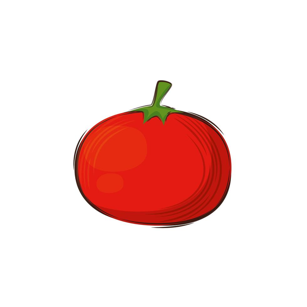 tomate vegetal fresco isolado ícone vetor