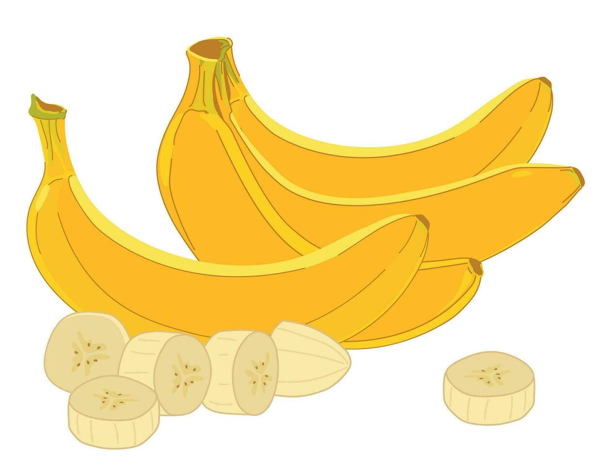 composição do vetor amarelo bananas dentro plano estilo. todo exótico fruta, grupo do bananas, fatiado branco polpa. branco fundo. desenho animado estilo clipart para embalagem Projeto do suco, geléia, fatias.