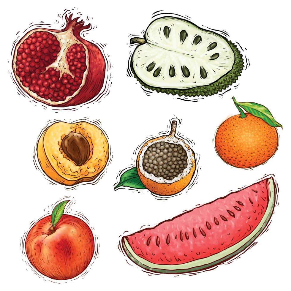 conjunto de ilustração em aquarela de coleta de frutas vetor