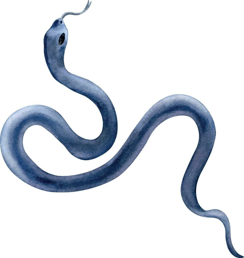 aguarela azul serpente isolado em branco fundo. gótico animal ilustração mão retirou. Preto réptil, Sombrio serpente mão retirou. elemento para convite, pano de fundo, cartão, animal impressão vetor