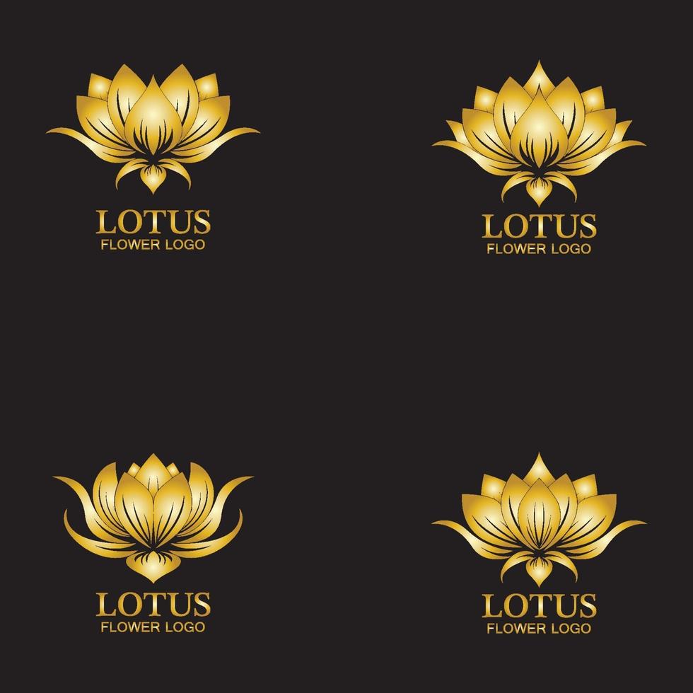 modelo de design de logotipo de flor de lótus dourada vetor