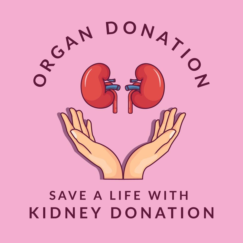 doação de órgãos. doação de rim. doe seu rim para salvar uma vida vetor