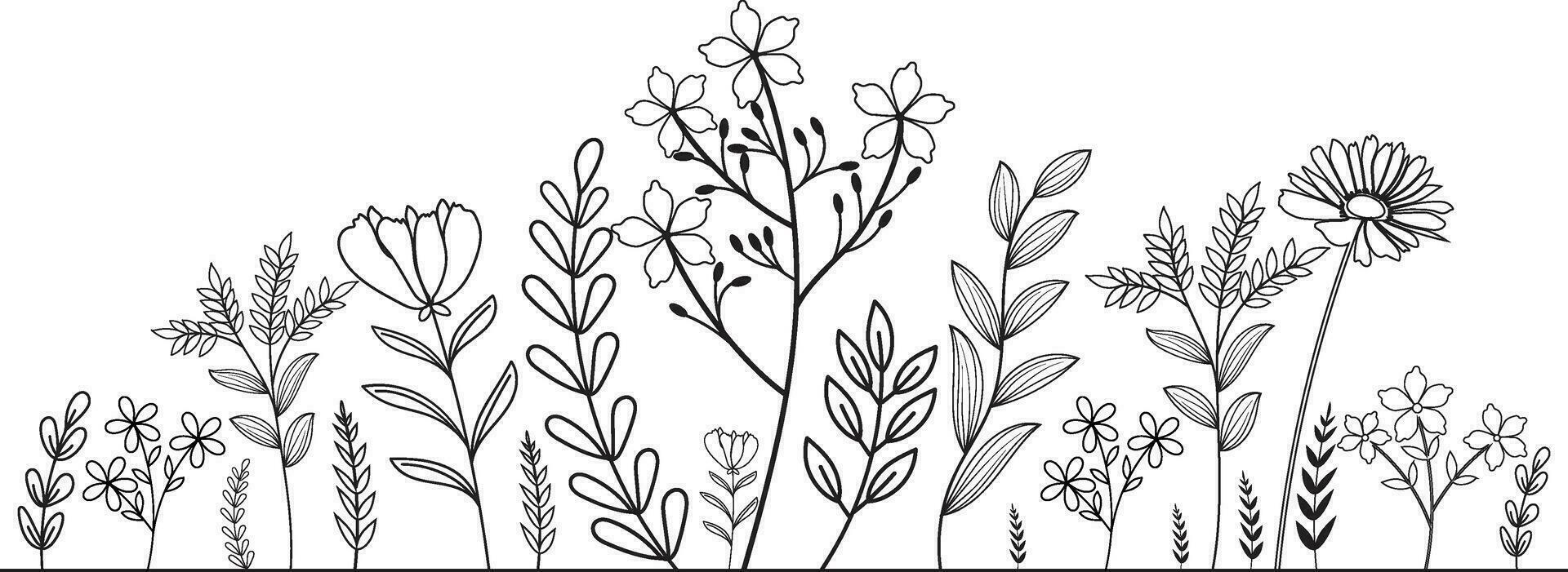 desenhado à mão flores silvestres Prado. Preto e branco rabisco flores silvestres e Relva plantas. monocromático floral elementos. vetor