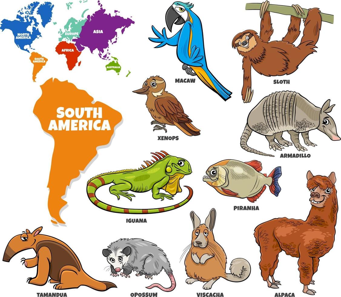 ilustração educacional do conjunto de animais da América do Sul dos desenhos animados vetor