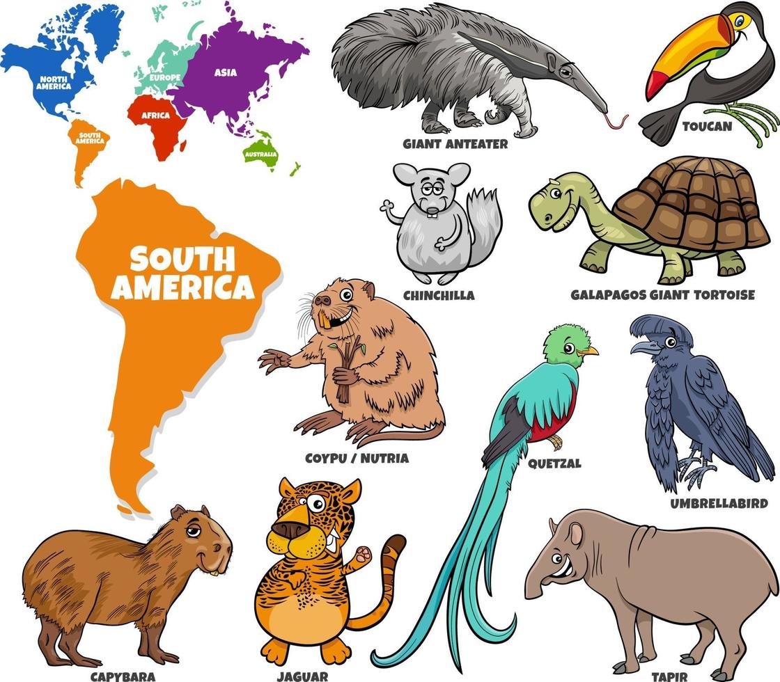 ilustração educacional do conjunto de animais da América do Sul dos desenhos animados vetor