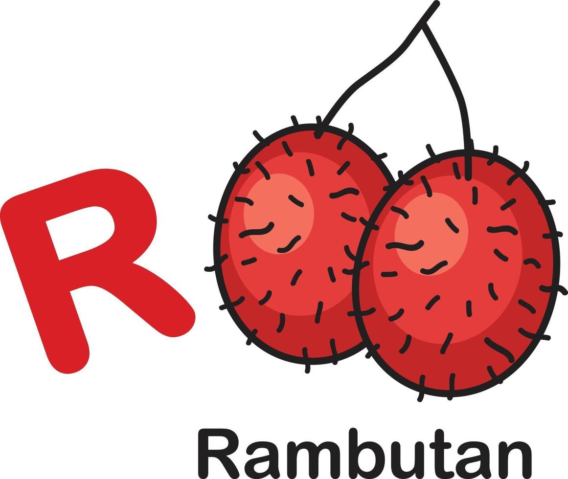 ilustração em vetor r-rambutan letra do alfabeto