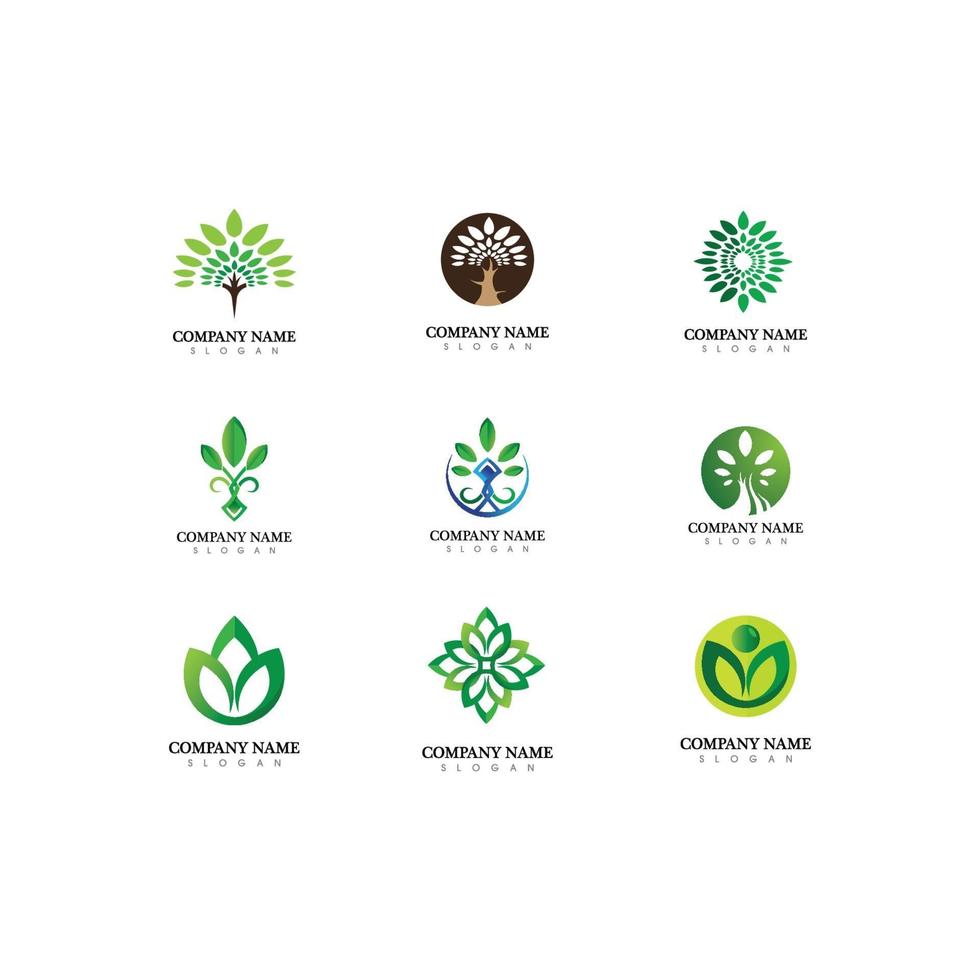 logotipos de ecologia de folha de árvore verde cenografia vetor