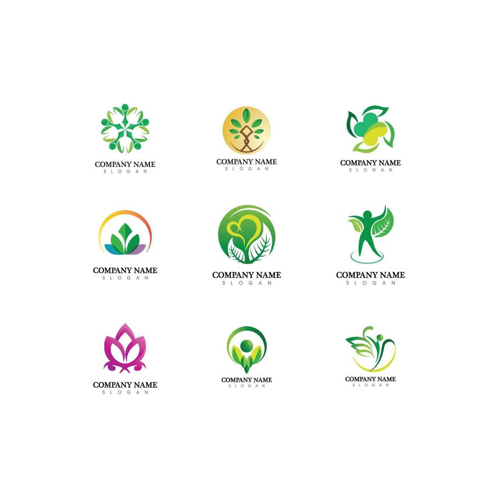 logotipos de ecologia de folha de árvore verde cenografia vetor