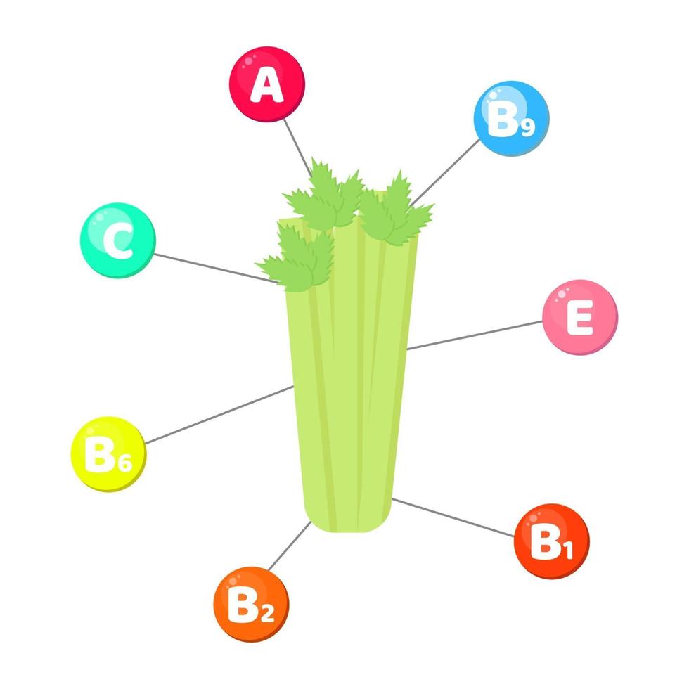 vitaminas contidas em vegetais. salsão vetor