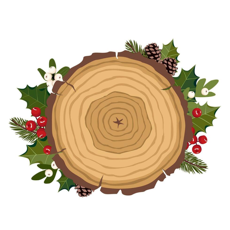 uma corte transversal do uma abeto árvore com anual argolas e uma Natal decoração. cortar baixa uma árvore com azevinho, visco, galhos e cones do uma Natal árvore. ilustrado vetor clipart.