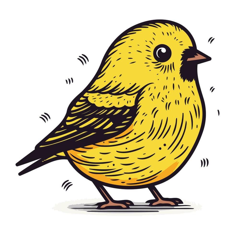 siskin pássaro. mão desenhado vetor ilustração isolado em branco fundo.