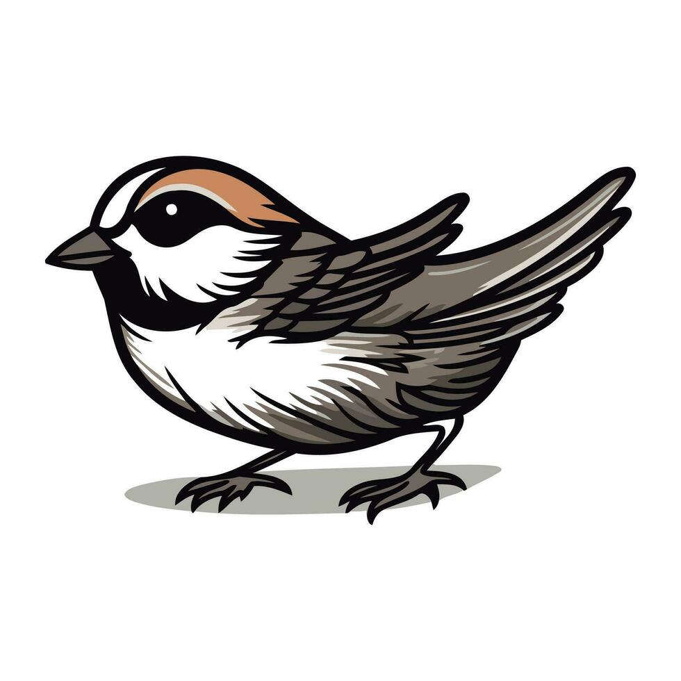 ilustração do uma pardal pássaro isolado em uma branco fundo. vetor