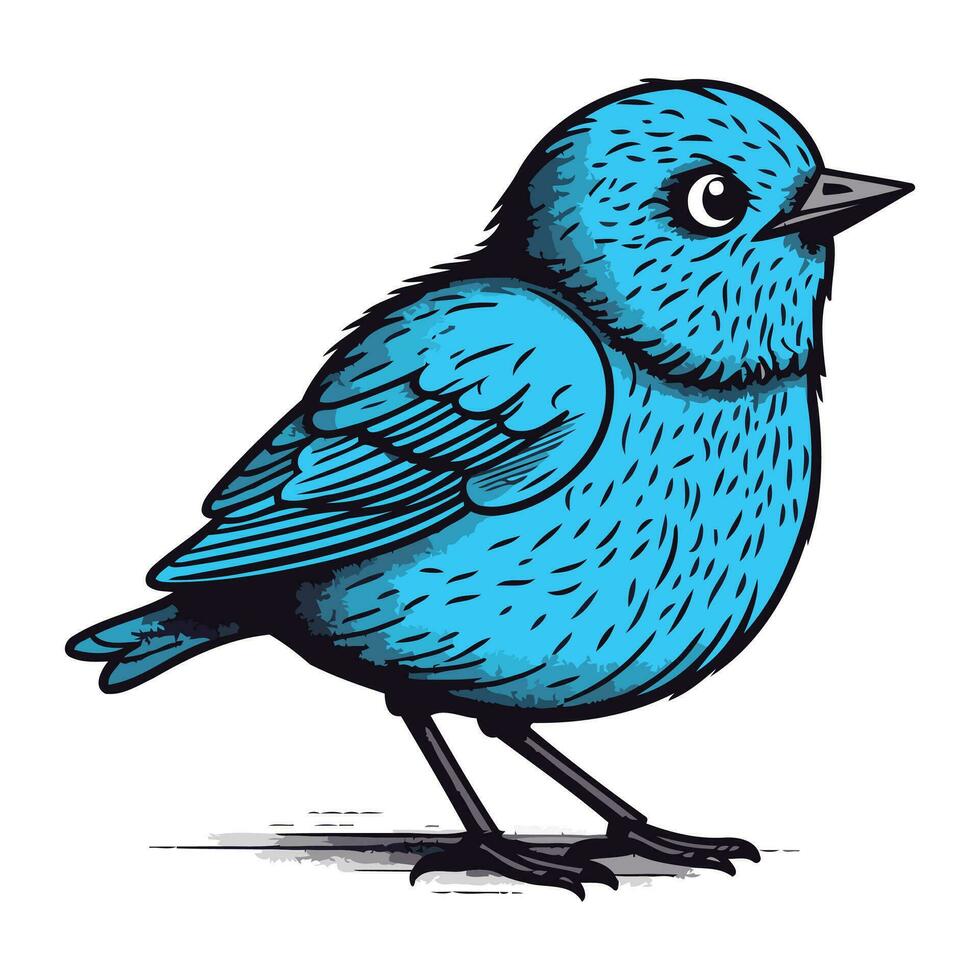 vetor ilustração do uma azul pássaro em uma branco fundo. mão desenhando