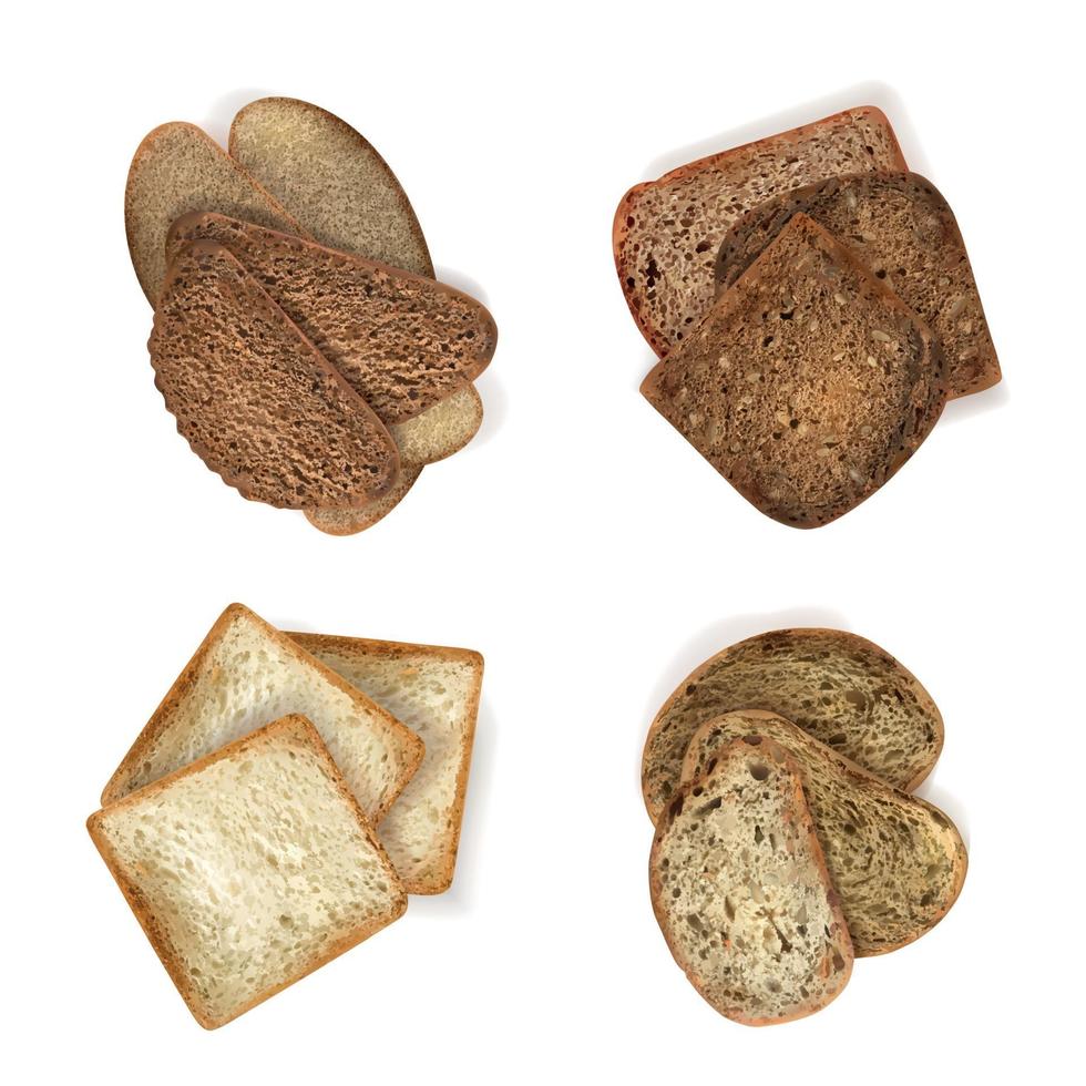 conjunto de fatias de pão diferentes vetor