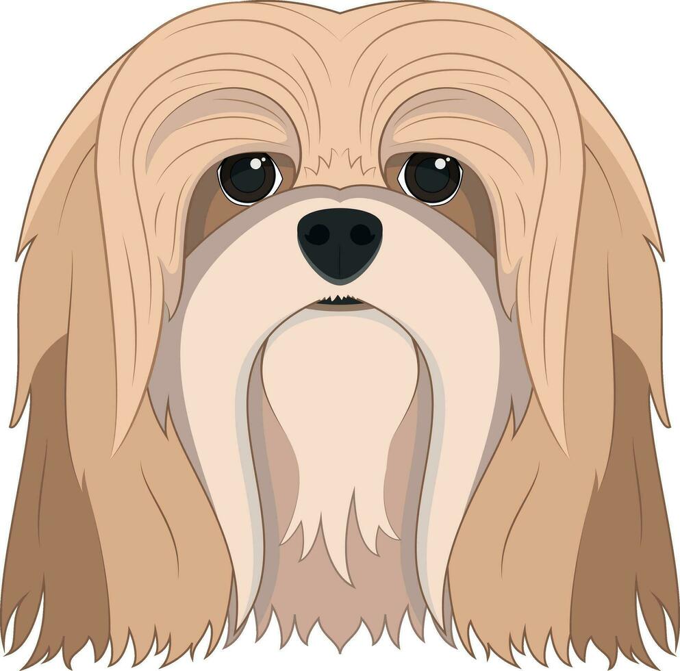 lhasa apso cachorro isolado em branco fundo vetor ilustração