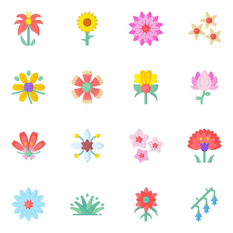 conjunto colorido de floral vetor