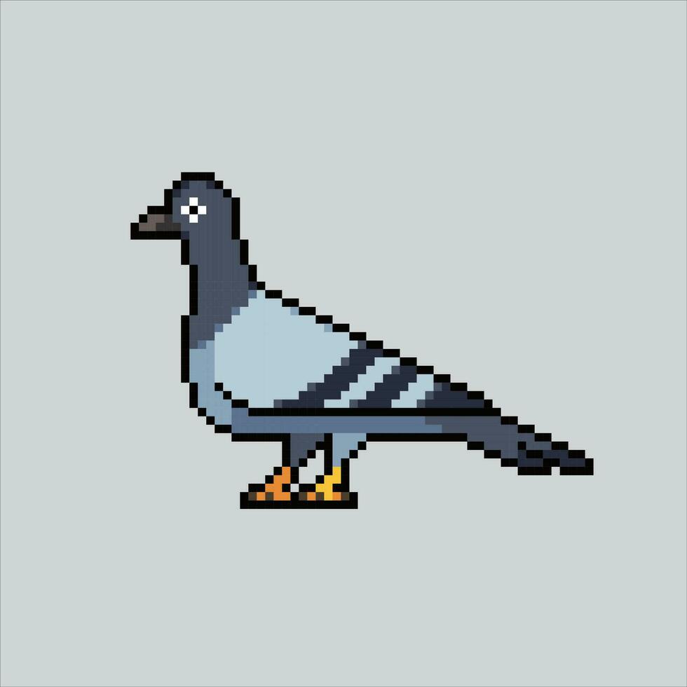 pixel arte ilustração Pombo. pixelizada Pombo. Pombo pomba pixelizada para a pixel arte jogos e ícone para local na rede Internet e vídeo jogo. velho escola retrô. vetor