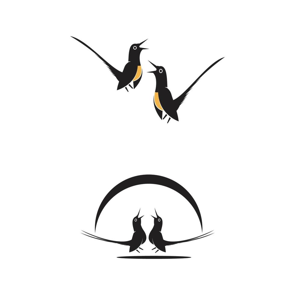 vetor de design de modelo de logotipo de pássaro, emblema, conceito de design, criativo