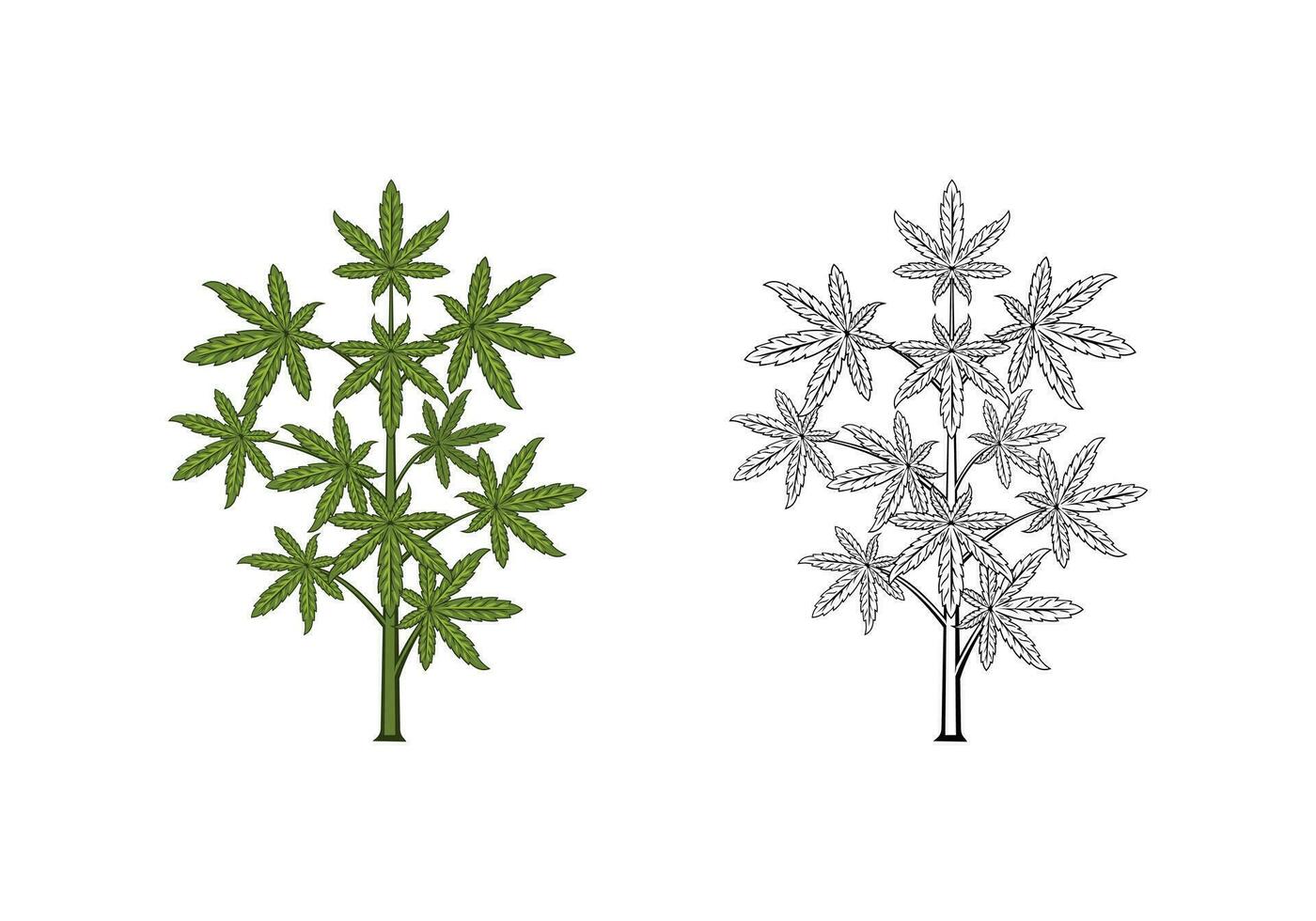 cannabis árvore ilustração vetor