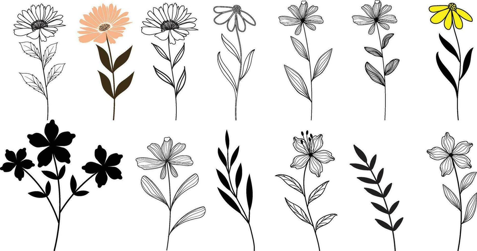 vetor botânico abstrato linha arte, desenhado à mão ervas, flores, folhas, e galhos.