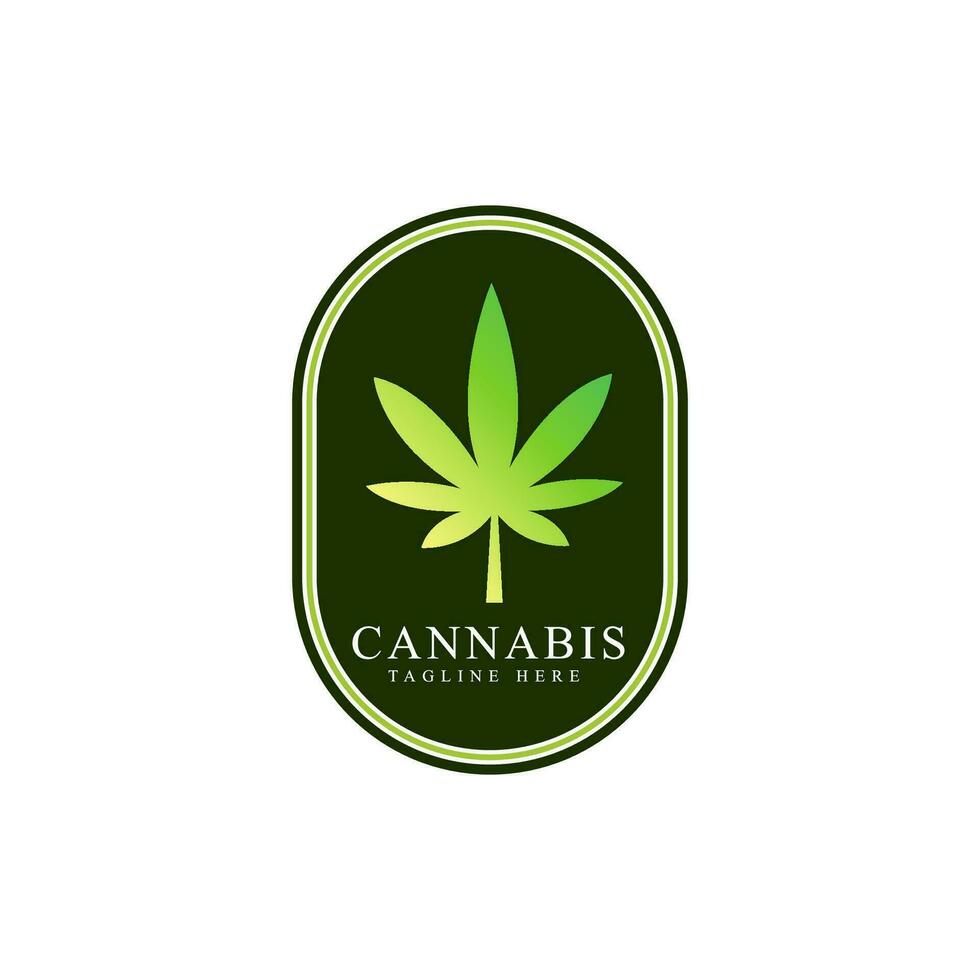 maconha Panela produtos rótulos. cannabis Distintivos logotipo Projeto modelo vetor