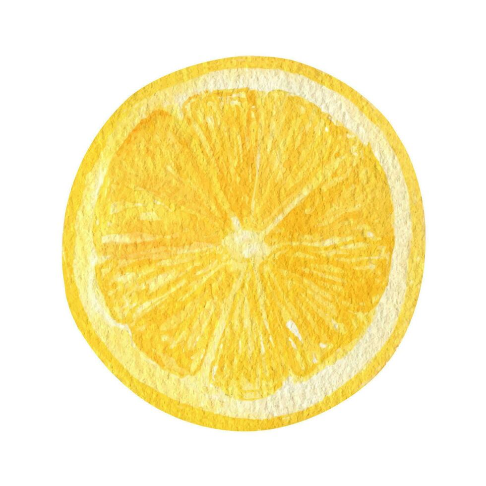 limão fruta fatia aguarela clipart. ilustração do fresco limão vetor