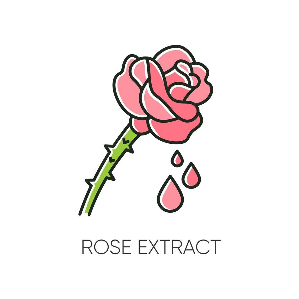 ícone de cor rgb de extrato de rosa vetor