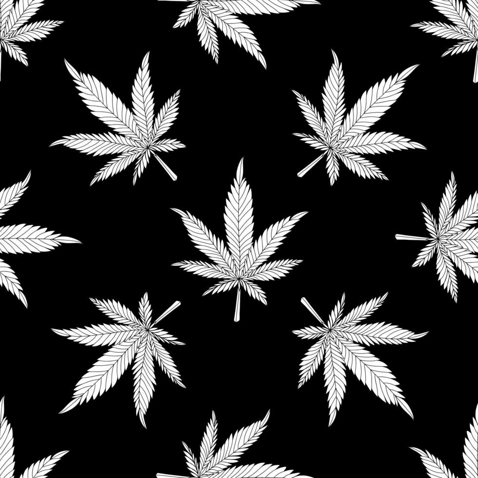 folhas de cannabis pattern.hemp em um fundo preto vetor