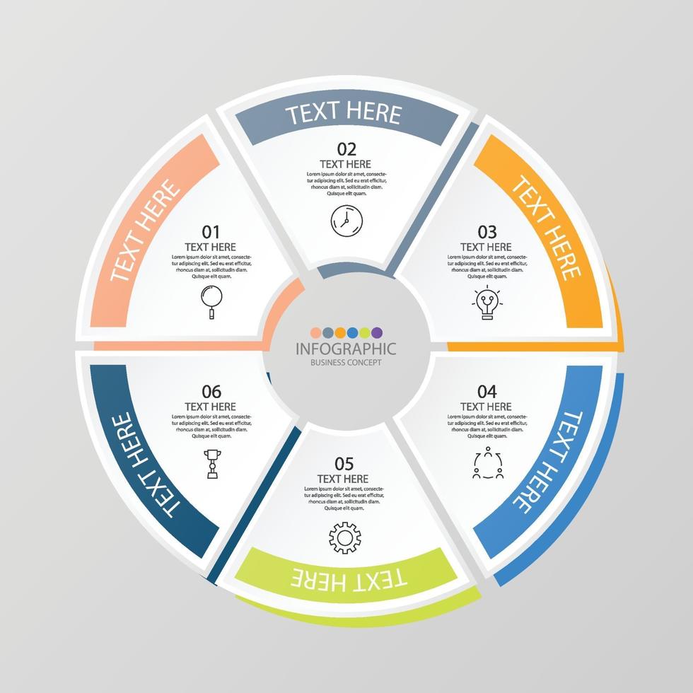 Infográfico de 6 etapas vetor