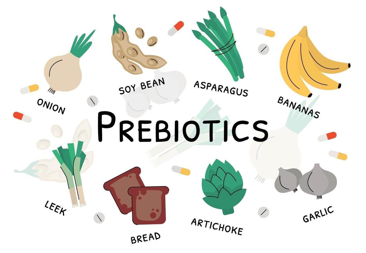 produtos de bactérias prebióticas e alimentos ricos em nutrientes vetor