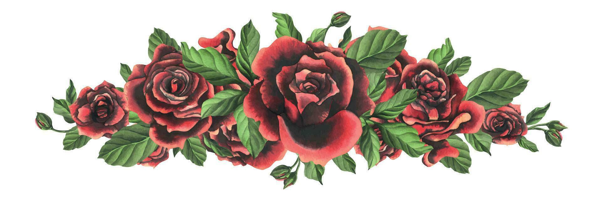 vermelho preto rosa flores com verde folhas e botões, chique, brilhante, lindo. mão desenhado aguarela ilustração. isolado composição em uma branco fundo, para decoração e Projeto vetor
